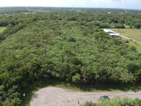 Yandell Drive