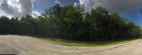 Yandell Drive
