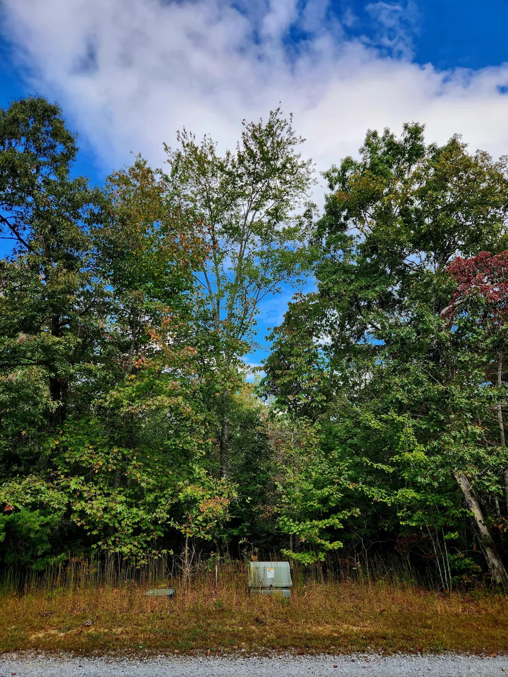 Deer Run Spencer, TN 38585