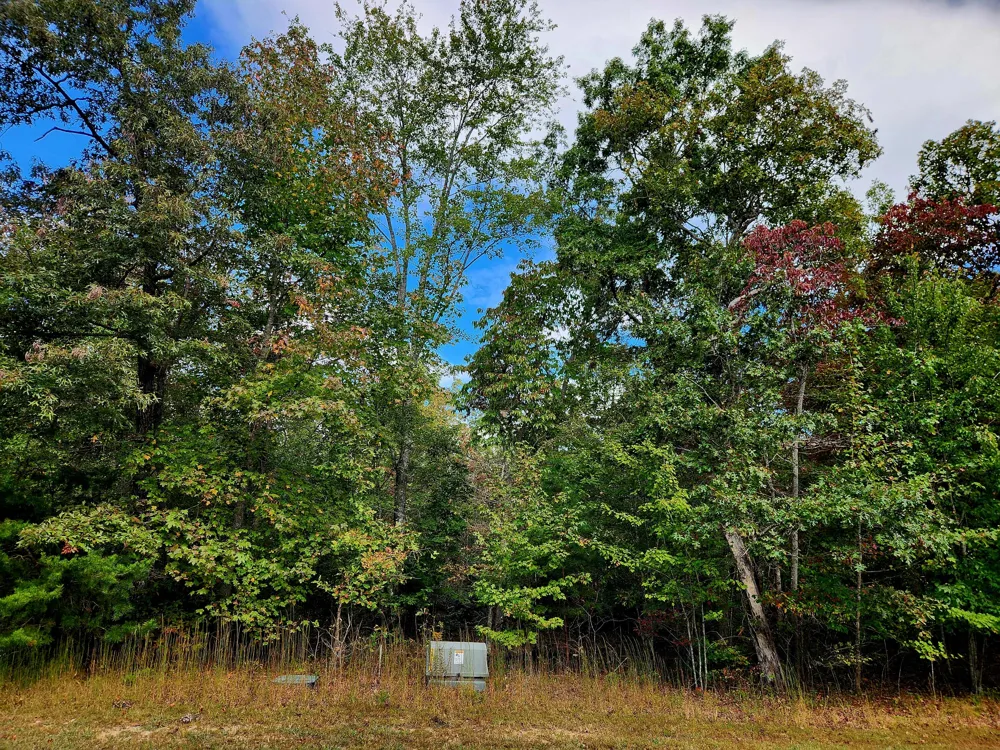Deer Run Spencer, TN 38585