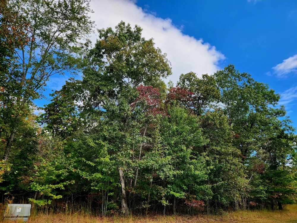 Deer Run Spencer, TN 38585