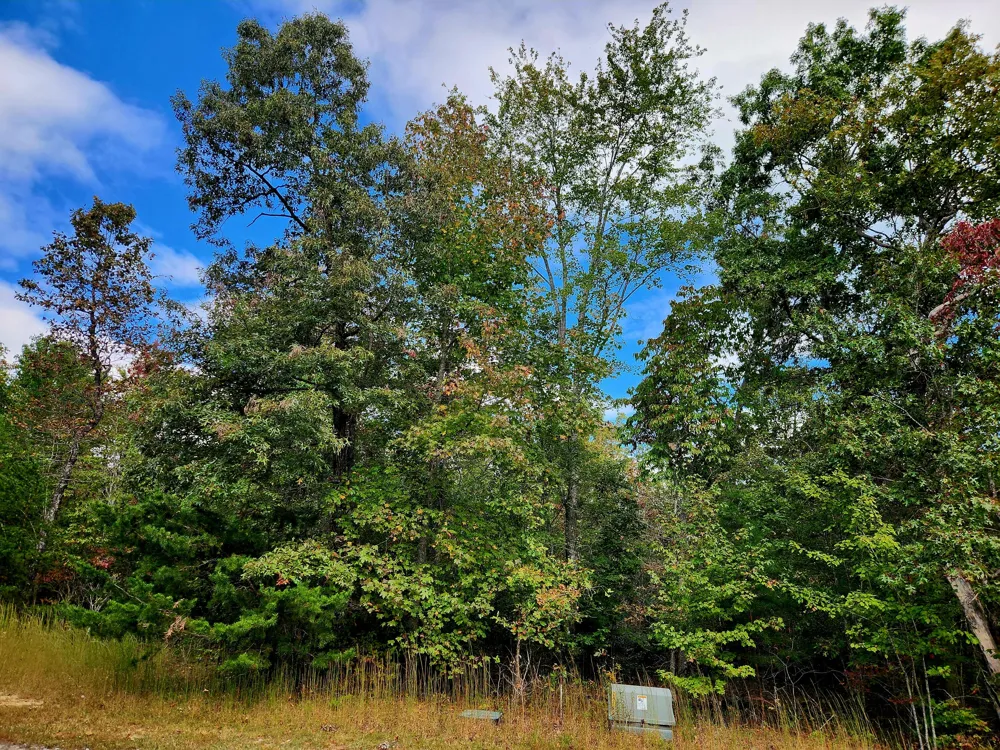 Deer Run Spencer, TN 38585