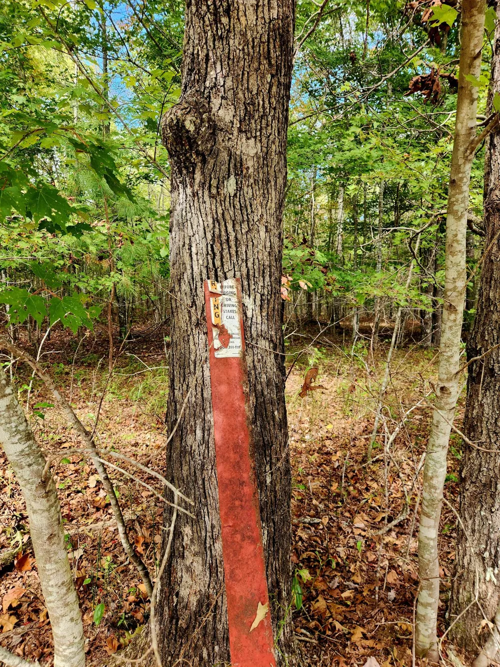 Deer Run Spencer, TN 38585
