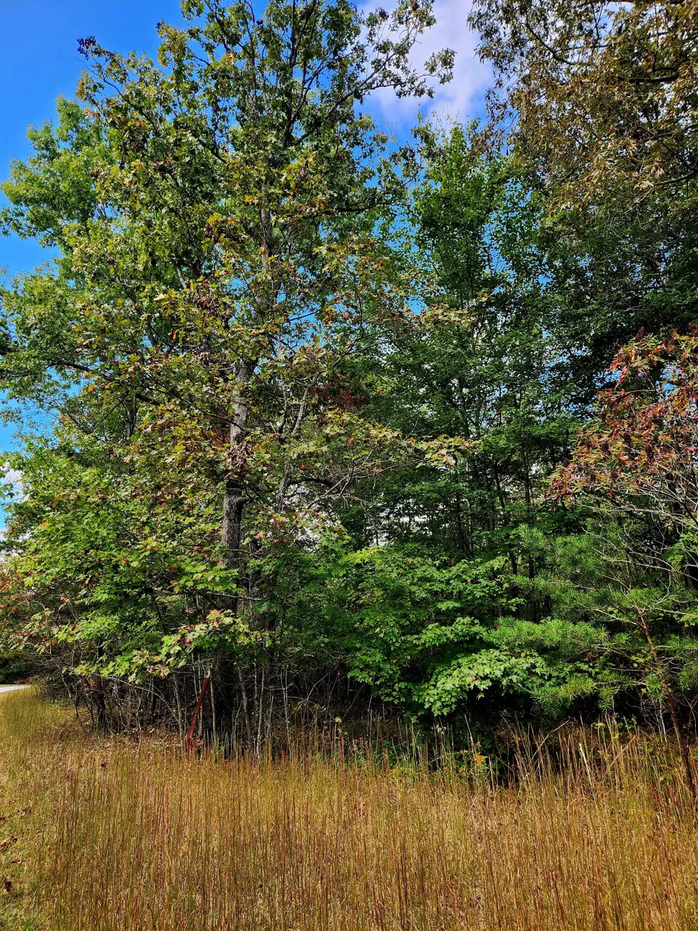 Deer Run Spencer, TN 38585