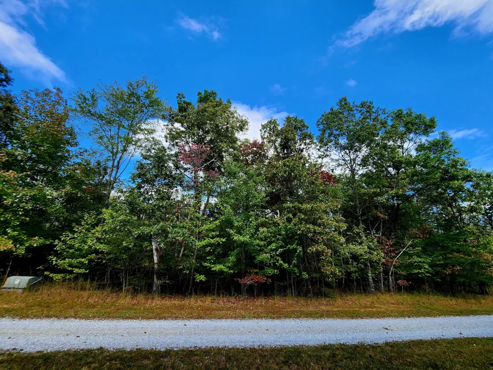 Deer Run Spencer, TN 38585