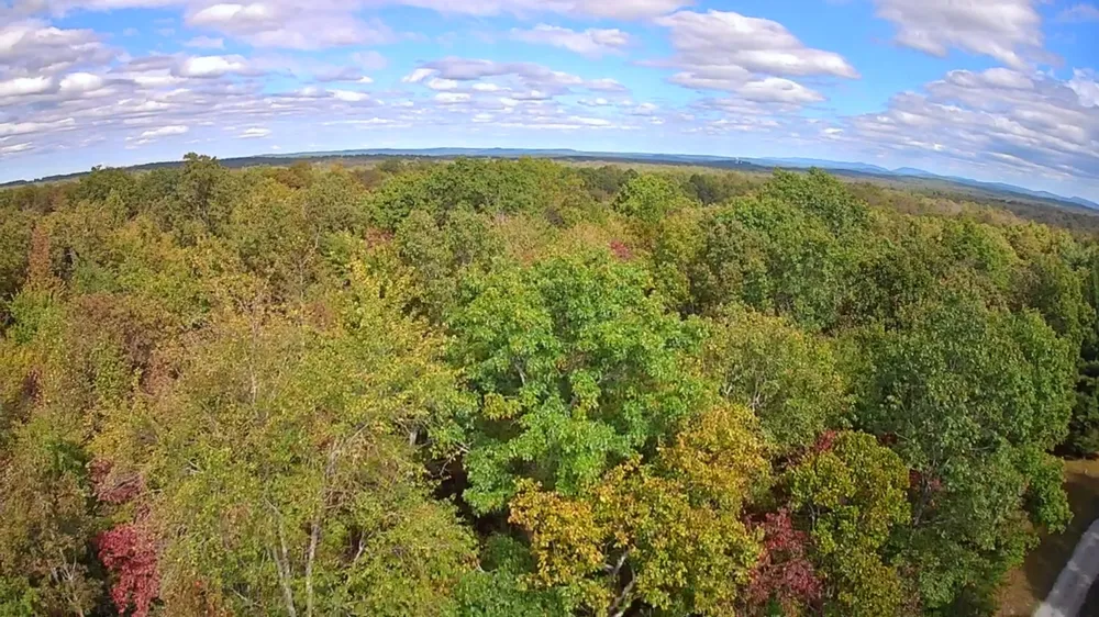 Deer Run Spencer, TN 38585