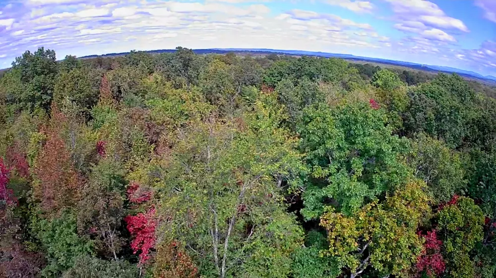 Deer Run Spencer, TN 38585