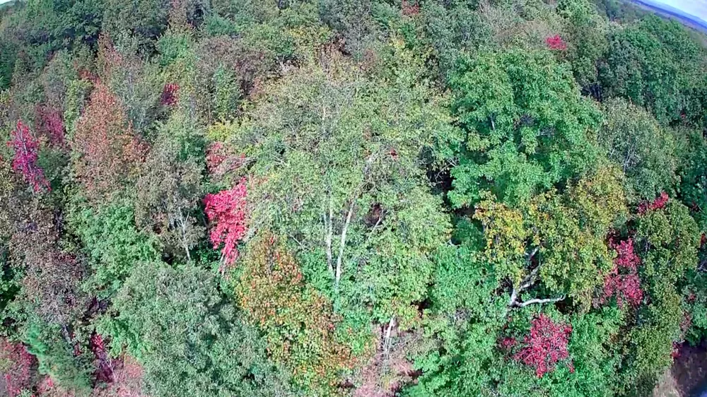 Deer Run Spencer, TN 38585