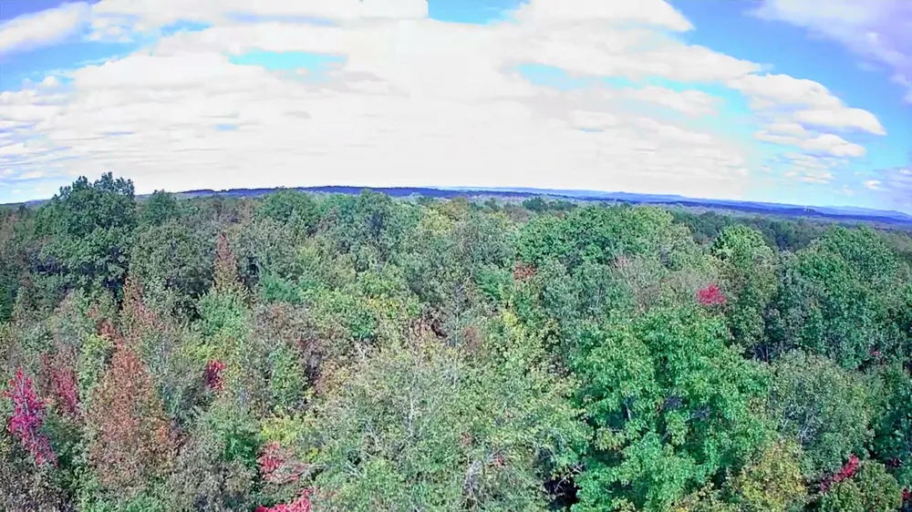 Deer Run Spencer, TN 38585