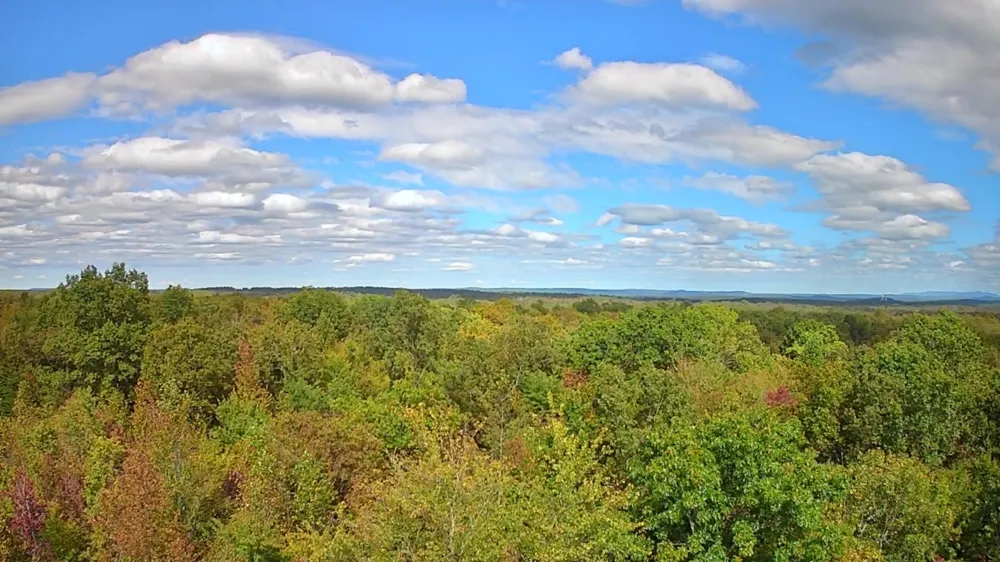 Deer Run Spencer, TN 38585