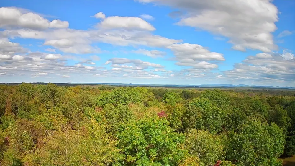 Deer Run Spencer, TN 38585