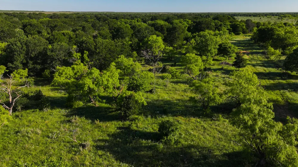 Symank Road Megargel, TX 76370