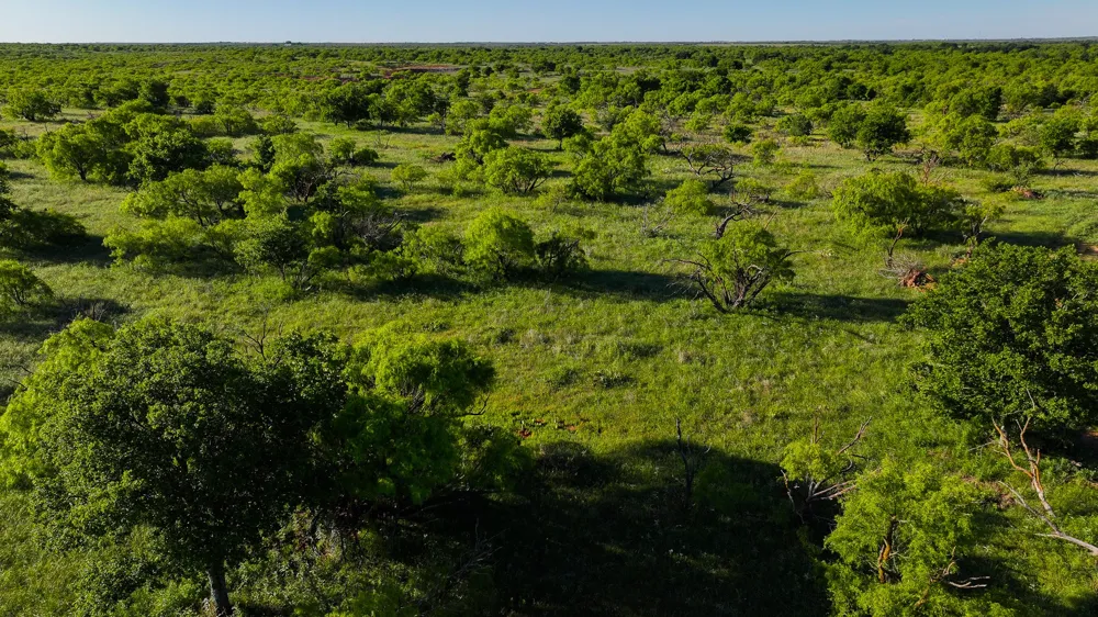 Symank Road Megargel, TX 76370