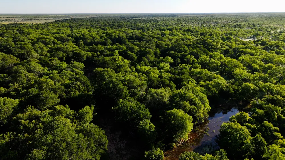 Symank Road Megargel, TX 76370