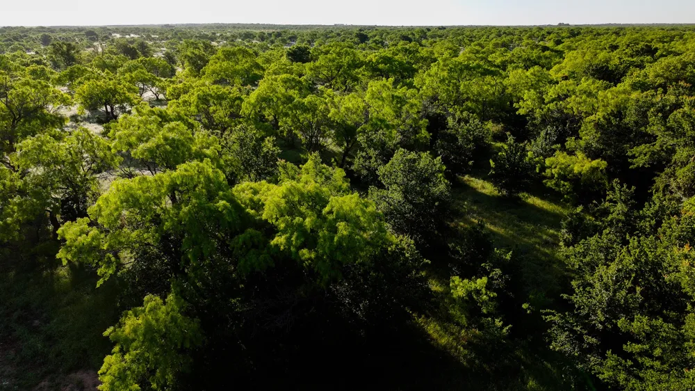 Symank Road Megargel, TX 76370