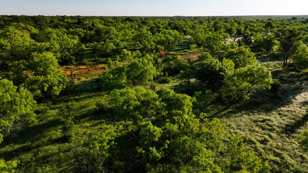 Symank Road Megargel, TX 76370