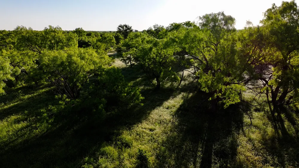 Symank Road Megargel, TX 76370