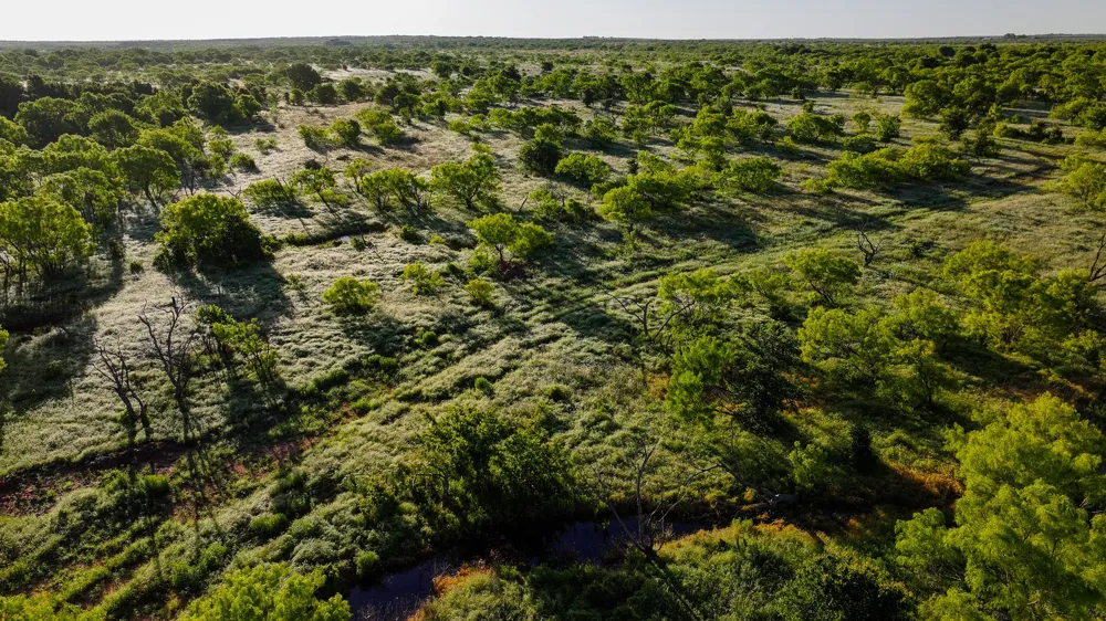 Symank Road Megargel, TX 76370