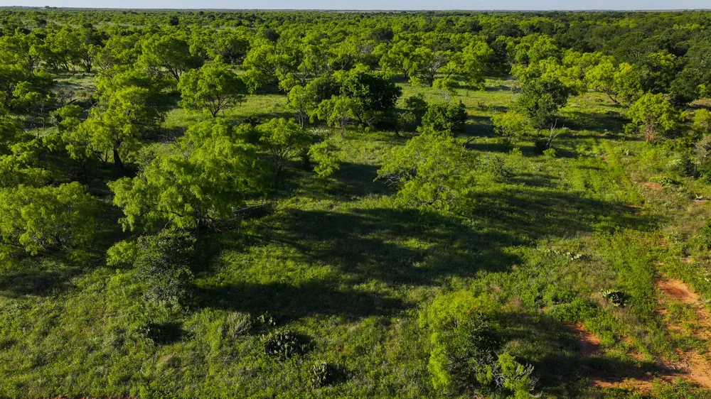 Symank Road Megargel, TX 76370