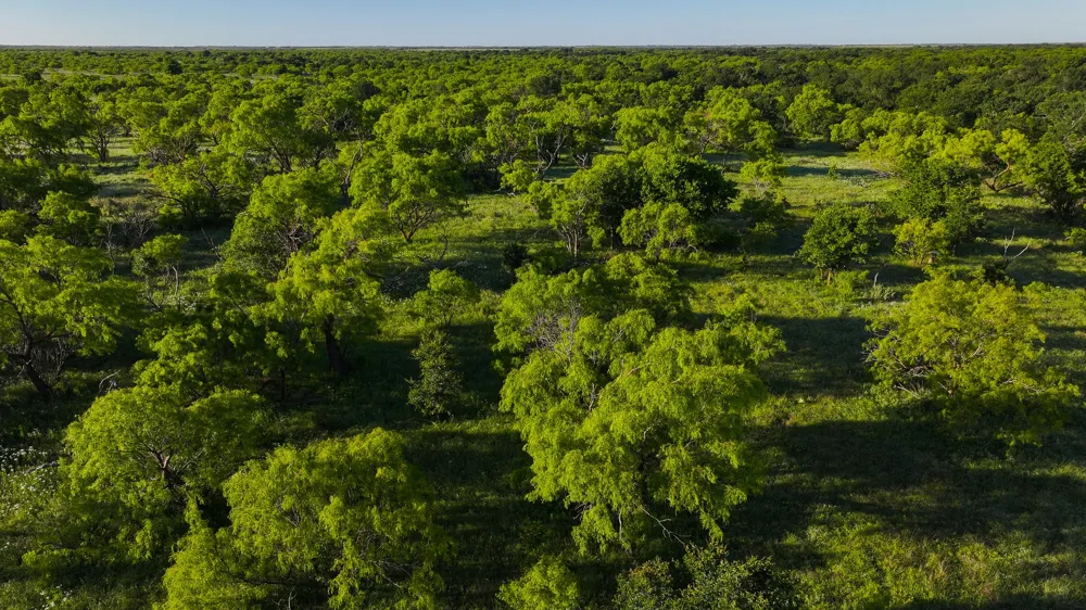 Symank Road Megargel, TX 76370
