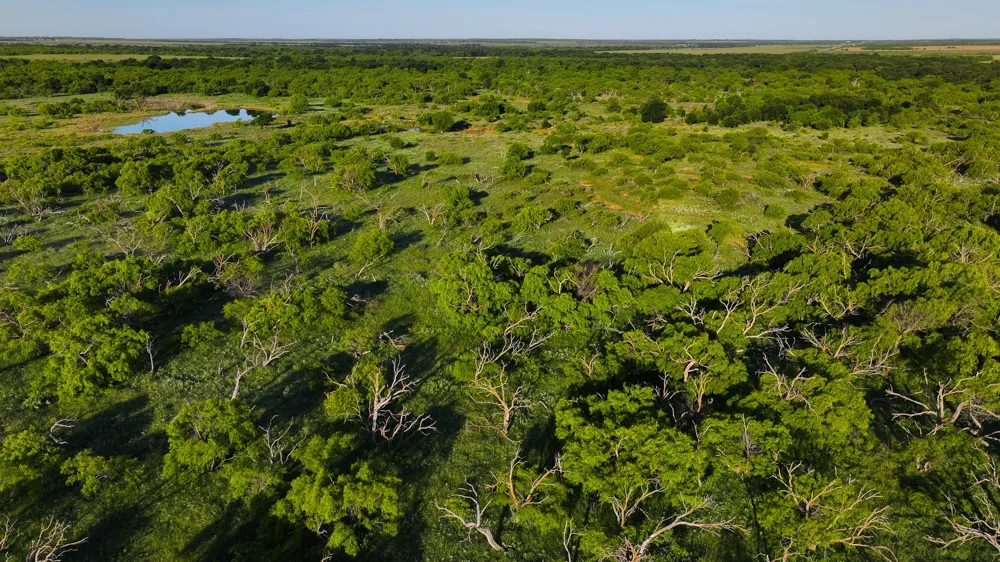 Symank Road Megargel, TX 76370