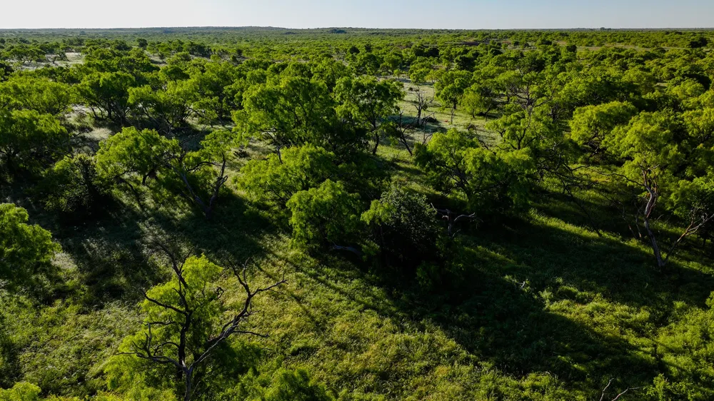 Symank Road Megargel, TX 76370