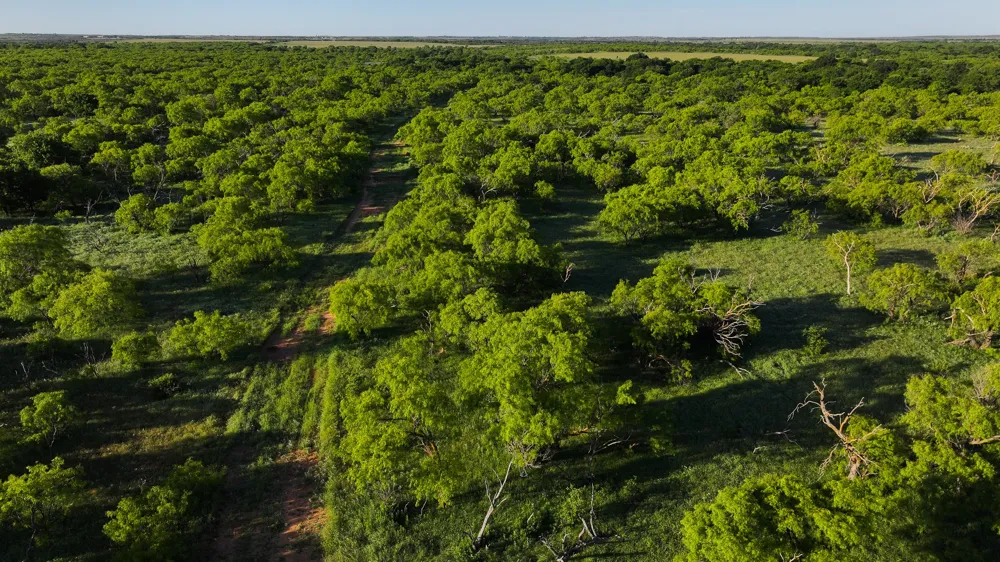 Symank Road Megargel, TX 76370
