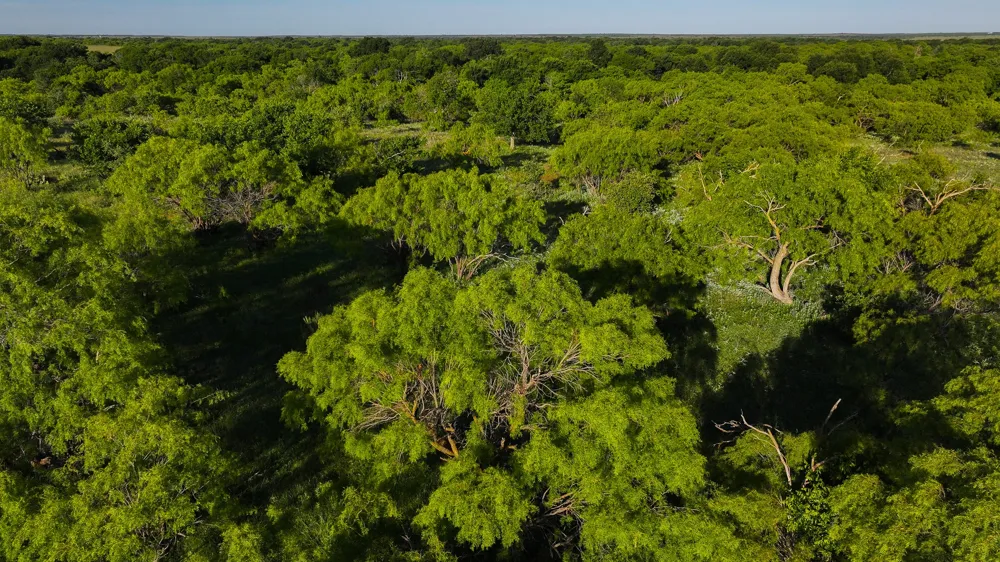Symank Road Megargel, TX 76370