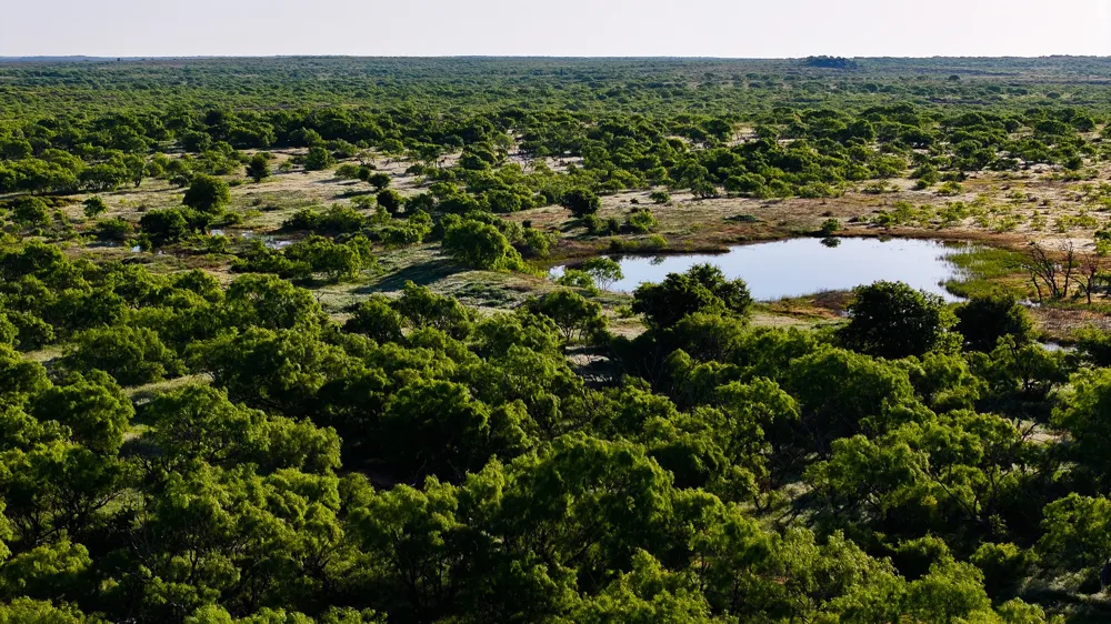 Symank Road Megargel, TX 76370