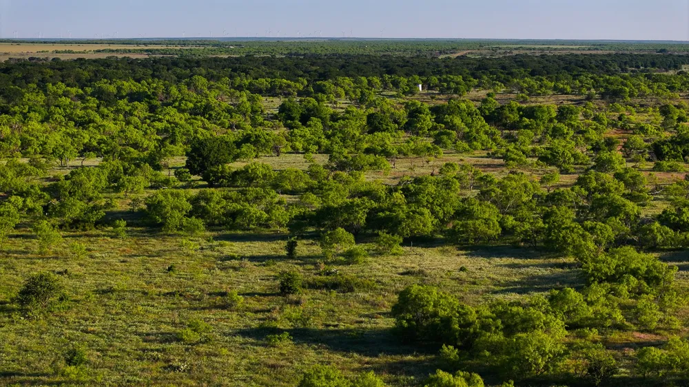 Symank Road Megargel, TX 76370