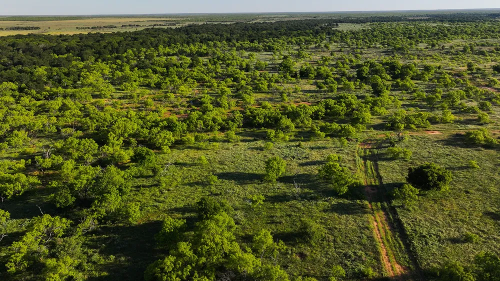 Symank Road Megargel, TX 76370
