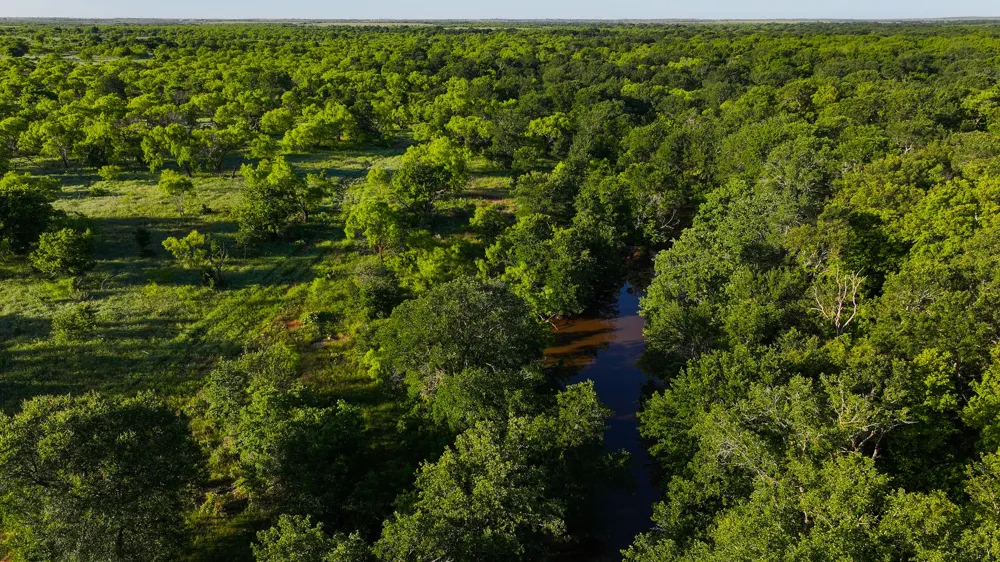 Symank Road Megargel, TX 76370
