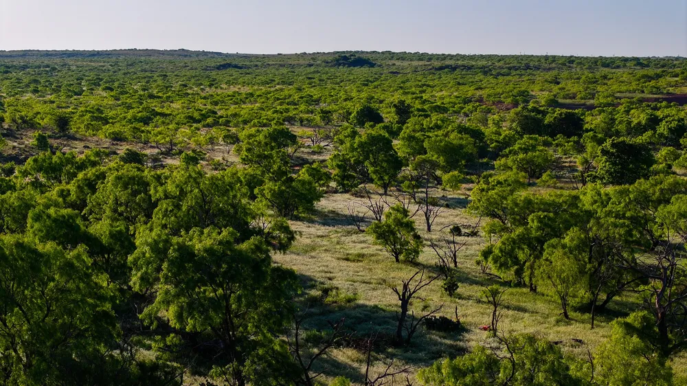 Symank Road Megargel, TX 76370