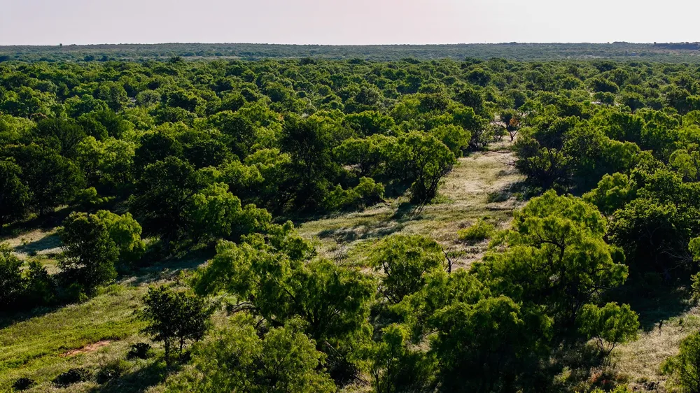 Symank Road Megargel, TX 76370
