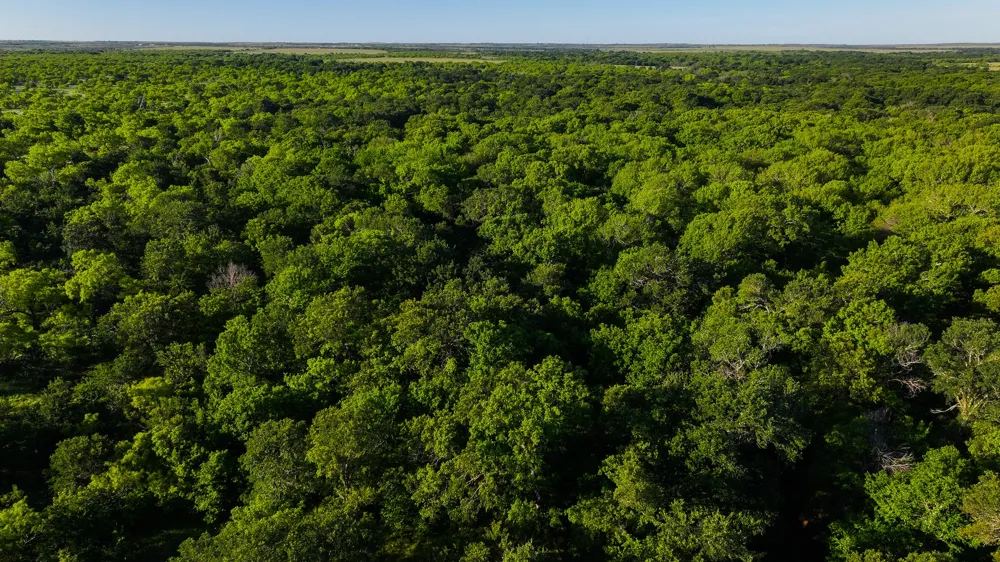 Symank Road Megargel, TX 76370