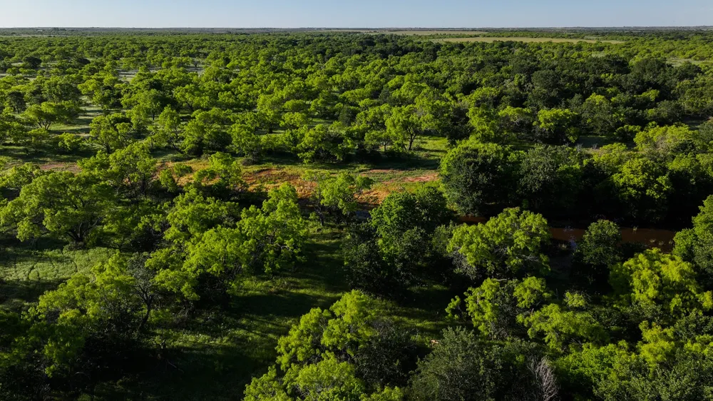 Symank Road Megargel, TX 76370