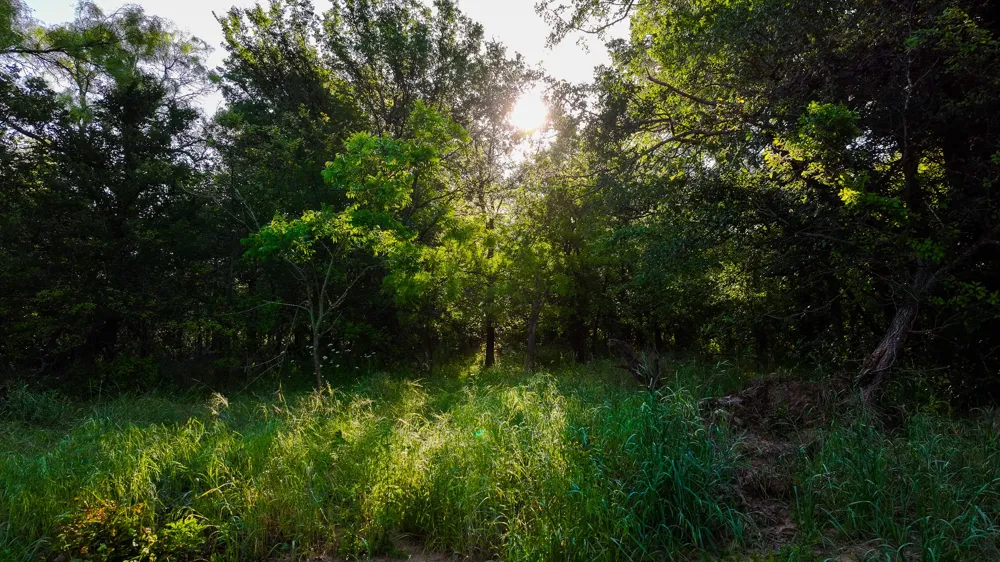Symank Road Megargel, TX 76370