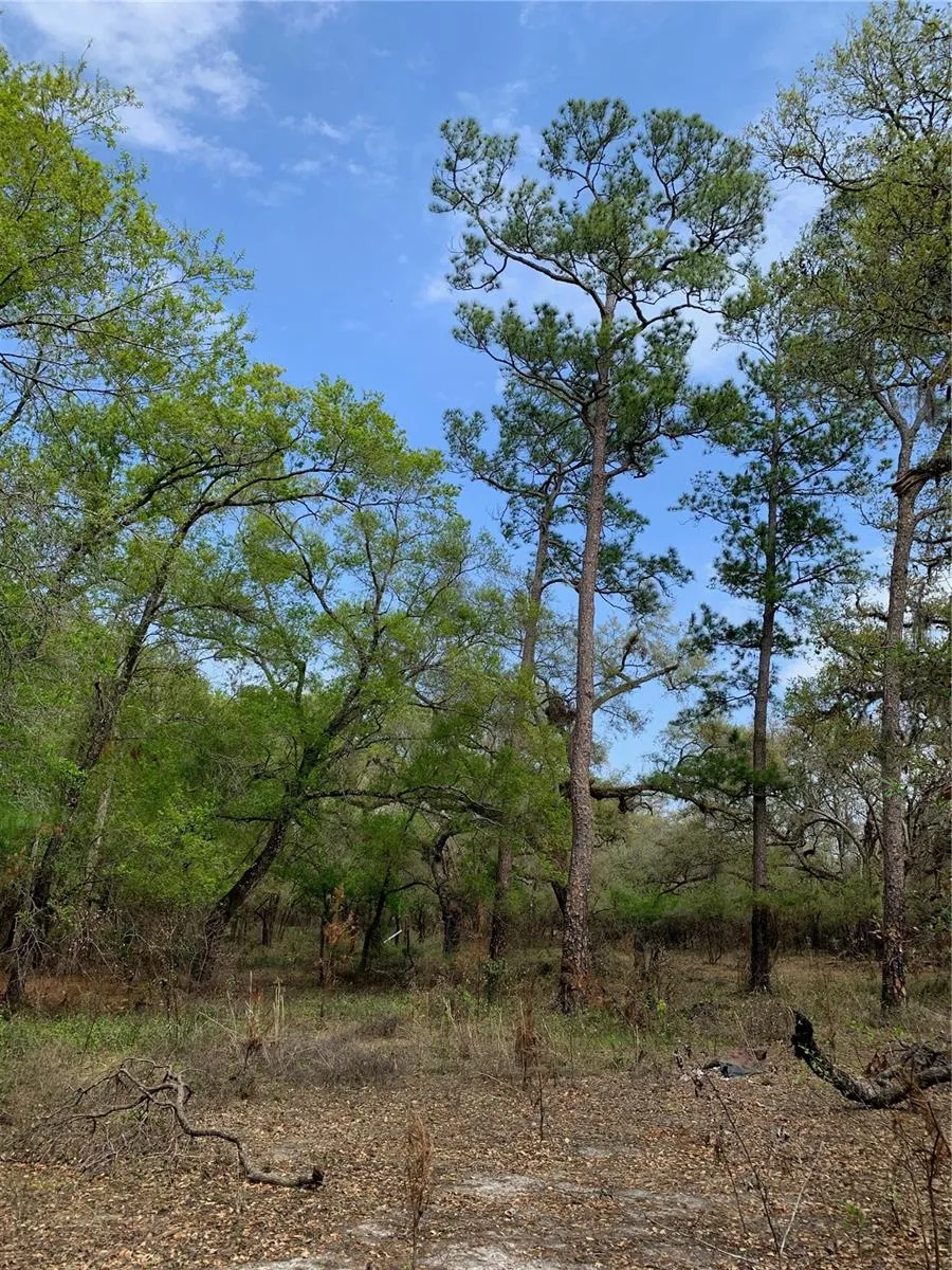 33074 RANCH ROAD Dade City, FL 33523