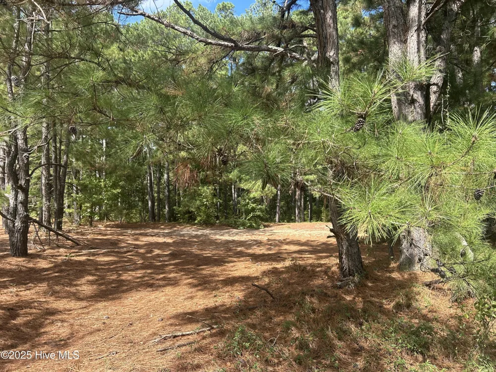 Tbd Nc 74 Highway W Lumberton, NC 28360