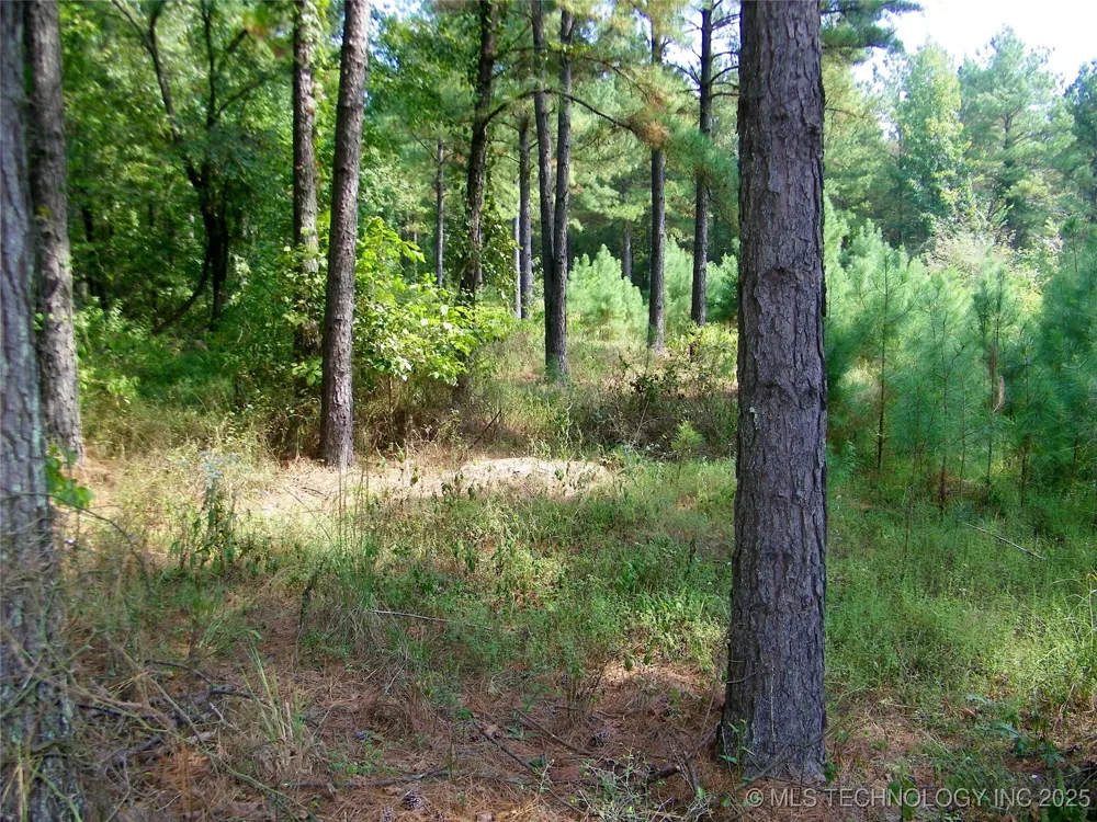 NE 155th Street Red Oak, OK 74563