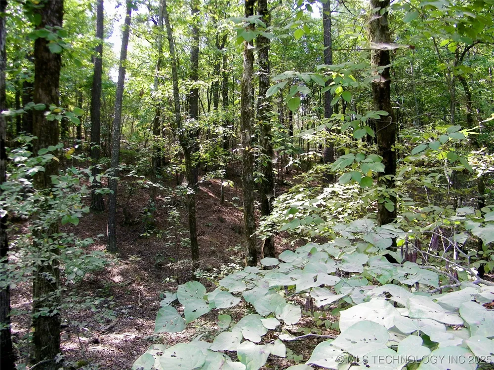 NE 155th Street Red Oak, OK 74563