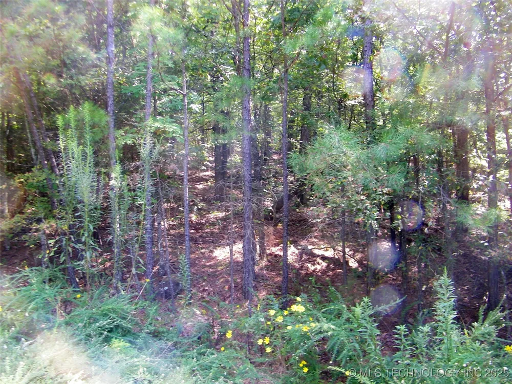 NE 155th Street Red Oak, OK 74563
