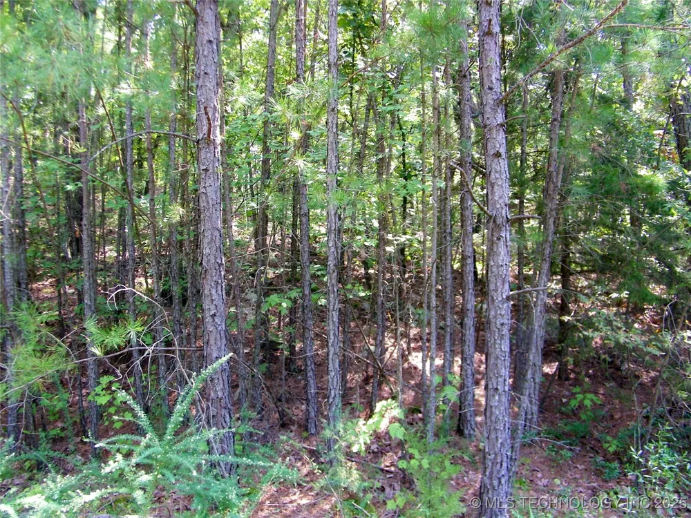 NE 155th Street Red Oak, OK 74563