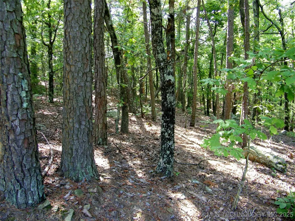 NE 155th Street Red Oak, OK 74563