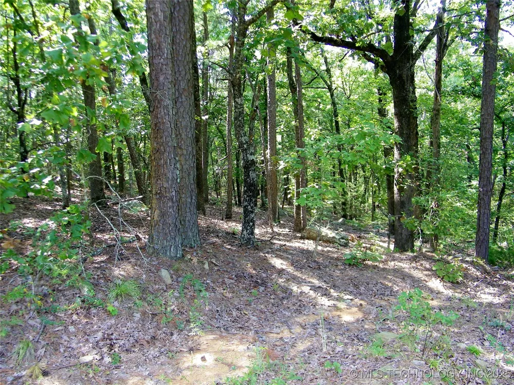 NE 155th Street Red Oak, OK 74563