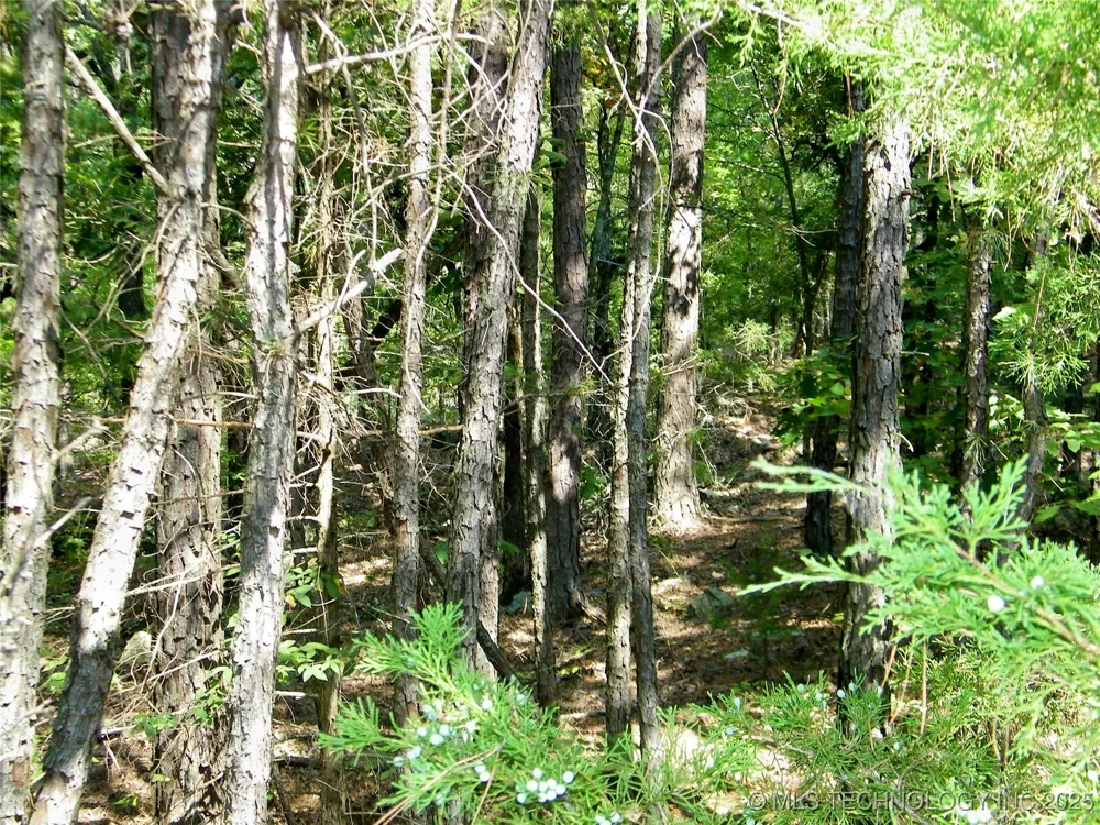 NE 155th Street Red Oak, OK 74563