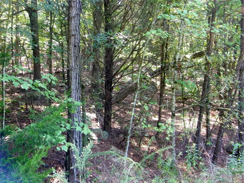 NE 155th Street Red Oak, OK 74563
