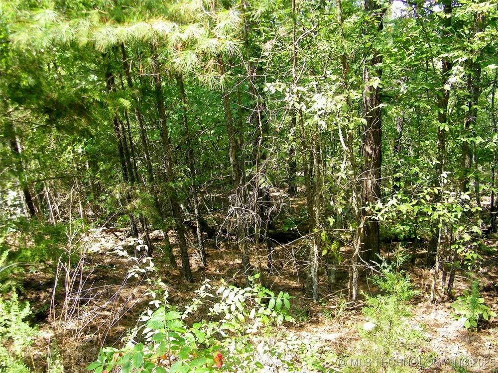 NE 155th Street Red Oak, OK 74563