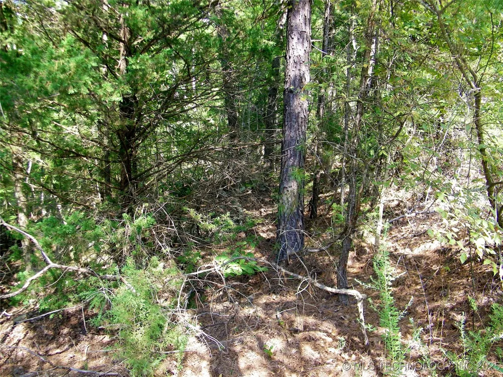 NE 155th Street Red Oak, OK 74563