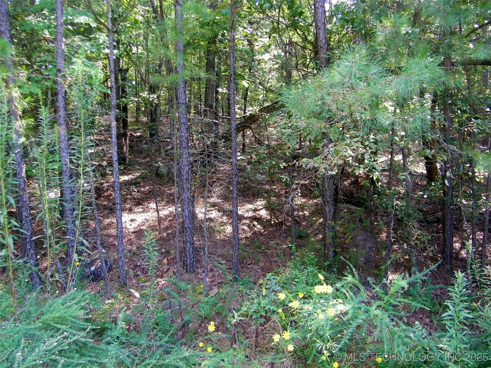 NE 155th Street Red Oak, OK 74563